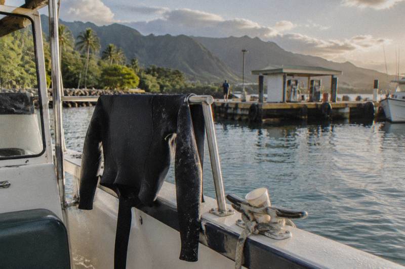 Wetsuit Top Included, Cageless Dive