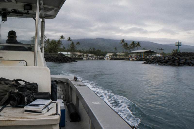 Sharks Guaranteed, Research Dive